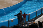 thumbs/seaworld 049.png